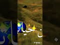 اغنيه يلا كله برا اغنيه يلا كله برا