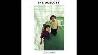 Video thumbnail of "The Ocelots - Addlepated (Lyrics in Description)"