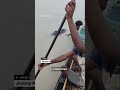 Video captures rescue of baby elephant struggling in Indian river