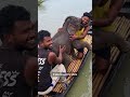 Video captures rescue of baby elephant struggling in Indian river