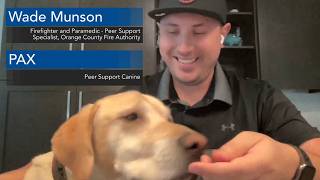 How Peer Support Canines Are Improving Mental Health at the Fire Station