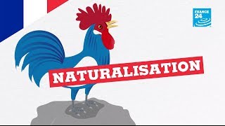 How to obtain French nationality? Becoming French, INSTRUCTIONS screenshot 4