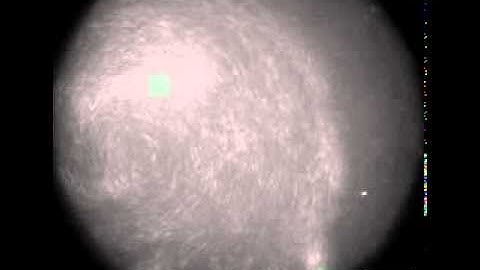 Nanoscale Swarming Motion.flv