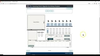 Digestive Physio Ex explainer
