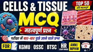 Most Important Mcqs For Ossc Nursing Officer, Kgmu, Rml, And Aiims Norcet Exams