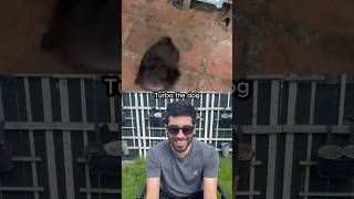 Turbo vs Everything and he's WINNING 💪 #shorts #meme