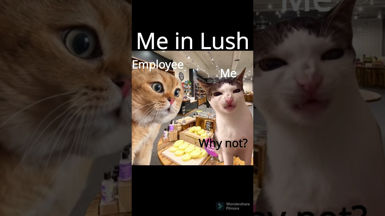 Me in Lush be like: 