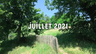 Au lieu de se souvenir : journal du regard (Juillet 2021)