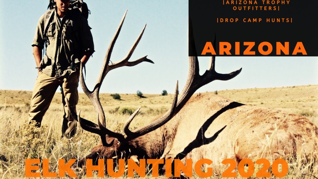 ARIZONA ELK HUNTING 2020 ARIZONA UNIT 1, 22, 23, 27 YouTube