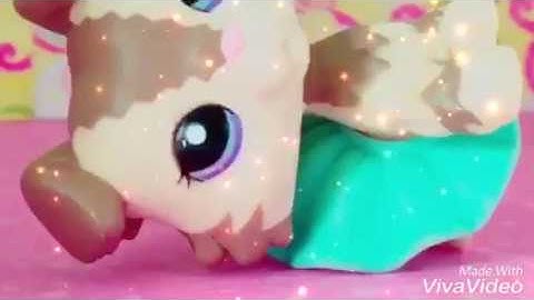 Lps MV| Stay MEP Part 4