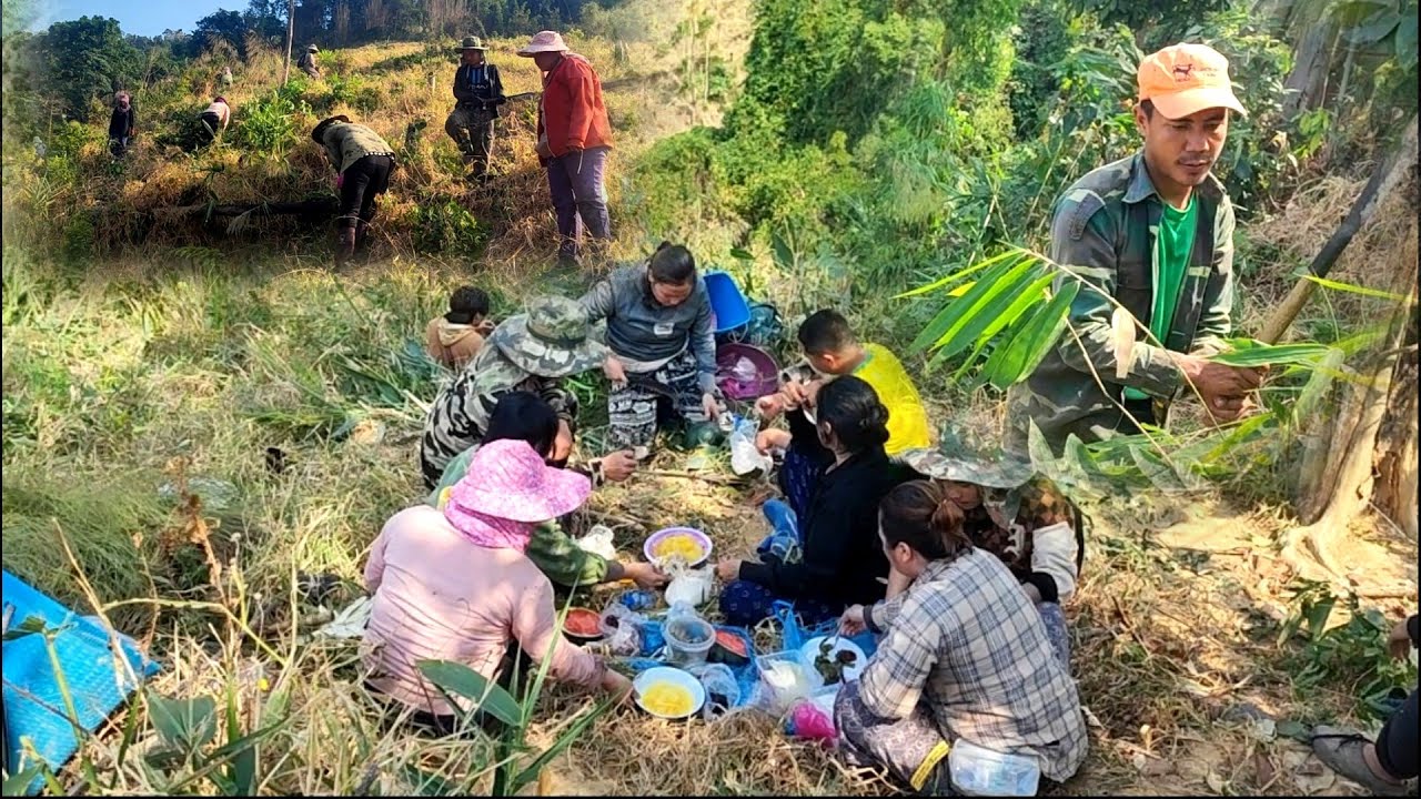 mus luaj kuv daim teb tshav nyuj mas tshav los kub mes los coob.23/2/2026