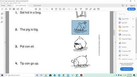 unit 1 week 3 Grammar