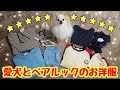 【ポメラニアン ライト】犬とペアルックの服★お揃い 可愛い 面白い【Pomeranian raito】Dog and Matching outfits clothes★