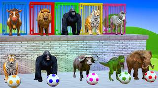 Long Slide Game with Colourful Duck Cow Tiger Gorilla Dog Elephant 3d Animal Game Funny 3d Animals screenshot 1