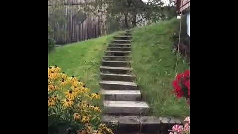 سورة الكهف يوم الجمعه🌸حالات واتس اب