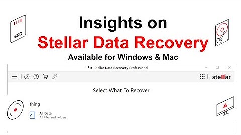 Insights on Stellar Data Recovery