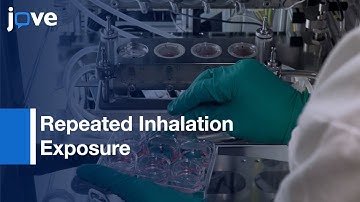 Air-Liquid Interface Bronchial Epithelial Model For Realistic-Airborne Particles l Protocol Preview