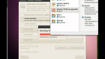 Update Ubuntu 10.04 to 10.10