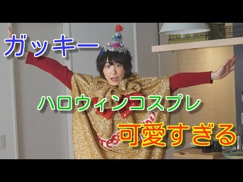 新垣結衣のハロウィンコスプレに「可愛すぎる」「天使」とファン絶賛【ゴシップガーデン】