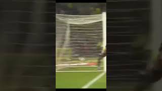 Alioski Muhteşem Ü Fnerbahçe