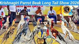 Krishnagiri Parrot Beak Long Tail Birds Show | Video 21053 | Rythu Market 2