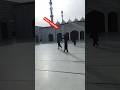 kabay ki Ronak kaby ka manzer #viralvideo #kaby kamanzer