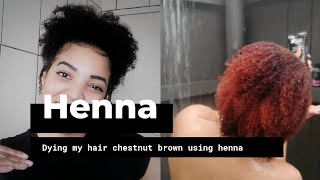Dying my natural hair using henna|| chestnut brown screenshot 2