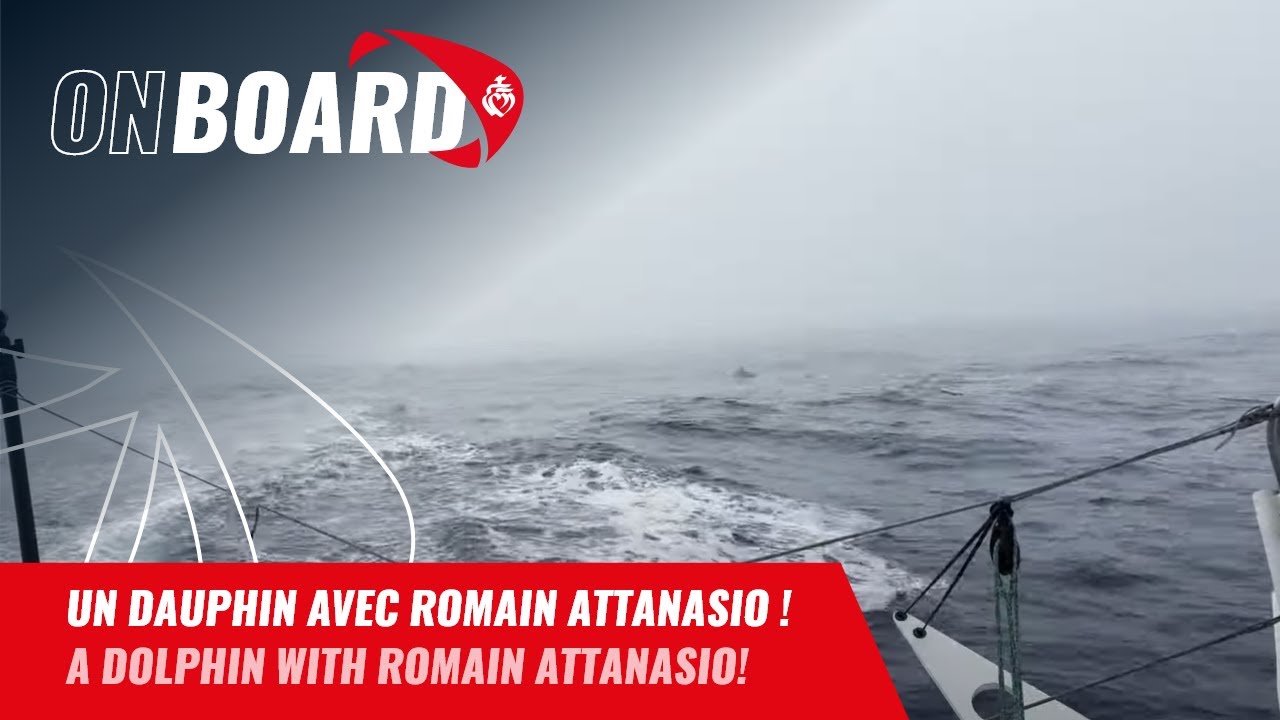 ⁣Un dauphin avec Romain Attanasio ! | Vendée Globe 2024