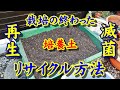 【園芸】培養土をリサイクル 土は捨てず熱湯滅菌してから再利用します