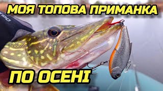 видео: ✅️МОЯ ТОПОВА ПРИМАНКА ПО ОСЕНІ☝️ картинка: ✅️МОЯ ТОПОВА ПРИМАНКА ПО ОСЕНІ☝️