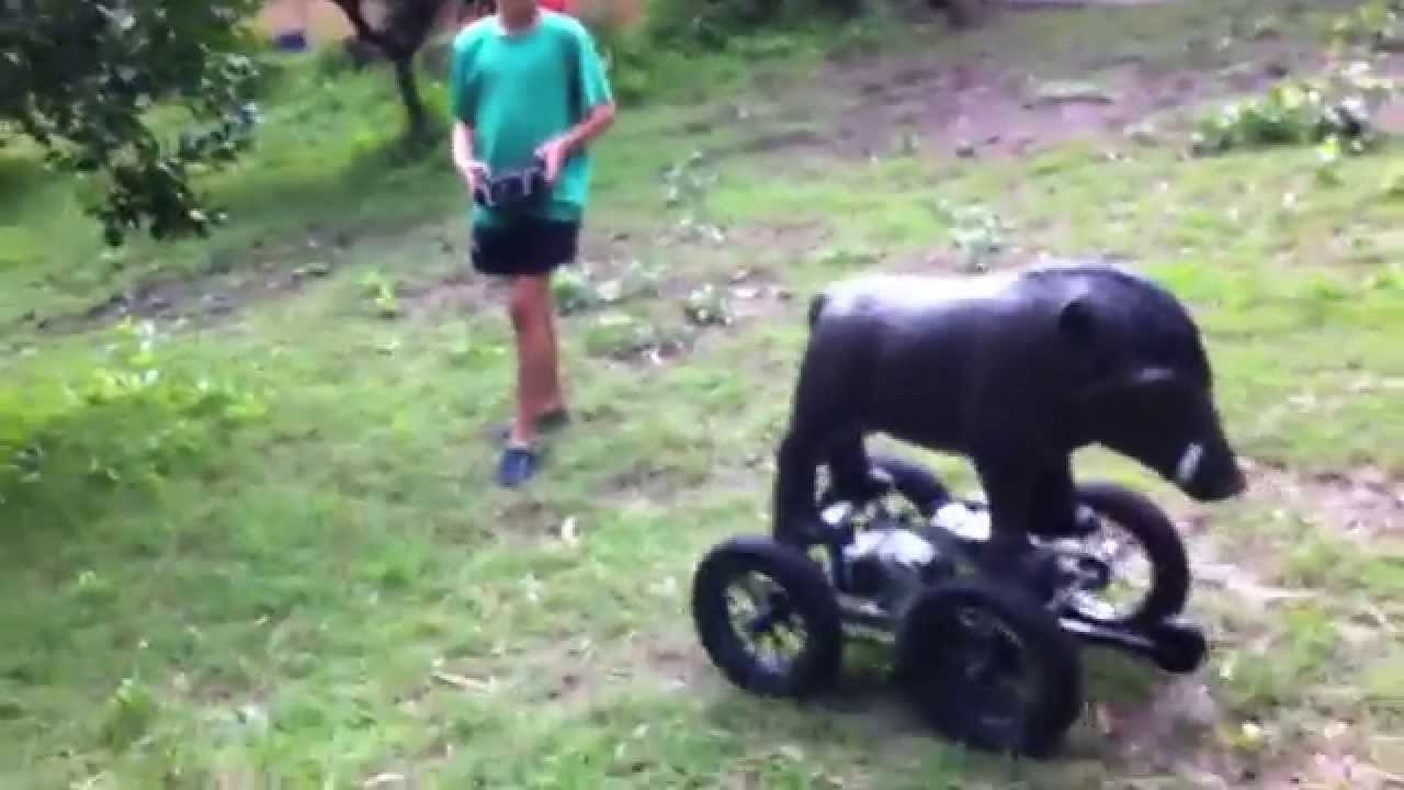 Robot hunting targets robot bore and archery shooting YouTube