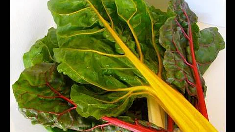 Swiss Chard 101