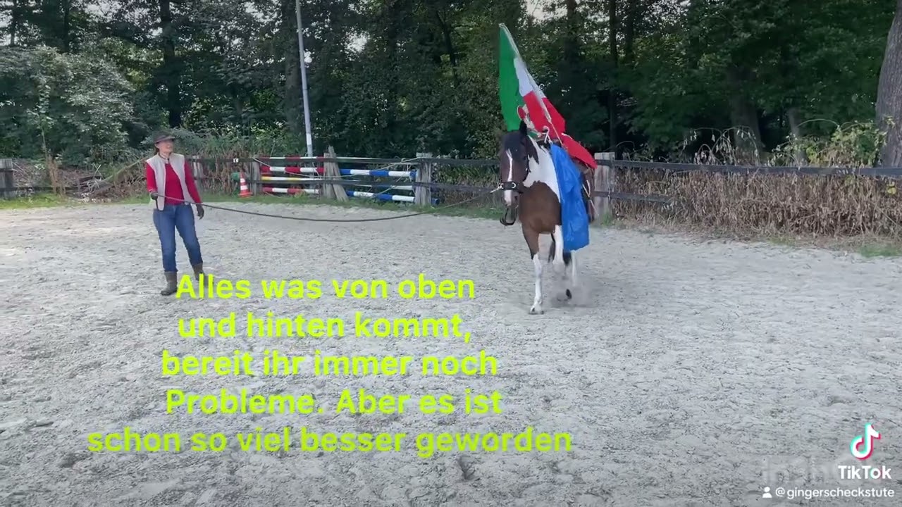 Problempferde Training