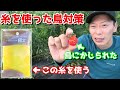 水糸を使った防鳥対策　ミニトマトを鳥から守れ