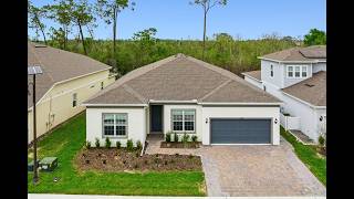2502 Alligator Flag Court Clermont FL 34174