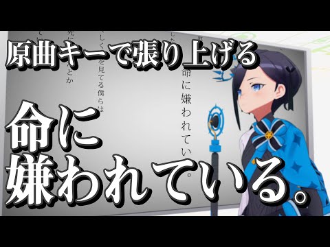 命に嫌われている。 covered by アメノセイ【毎日歌動画10日目】1Chorus