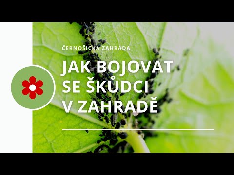 Video: Biologické Výrobky Na Ochranu Rostlin Před škůdci A Chorobami: Výběr Biologických Produktů Pro Boj S Hmyzem V Zahradě A Zeleninové Zahradě