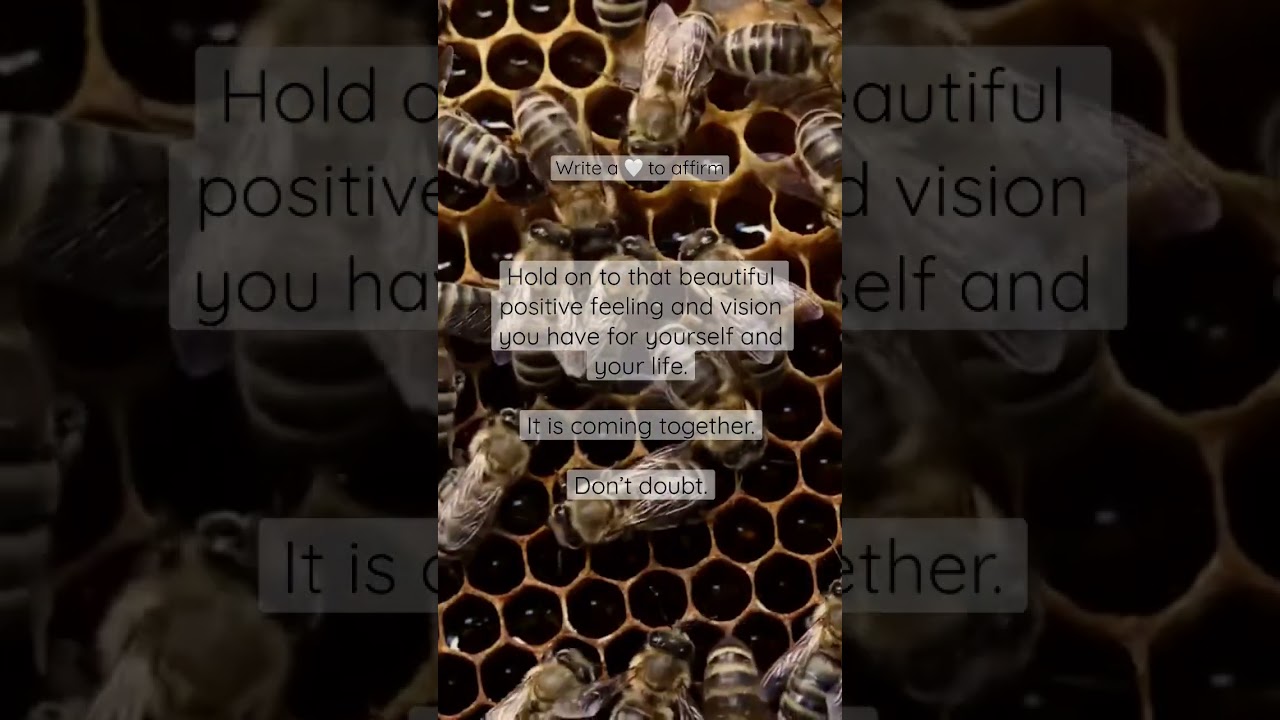 It is coming your way - take a deep breath 🤍 #meditation #naturesounds #meditativemind #bee #relax auf YouTube ansehen It is coming your way - take a deep breath 🤍 #meditation #naturesounds #meditativemind #bee #relax auf YouTube ansehen