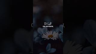 Сура: Ar-Ra'd | Аяты: 28