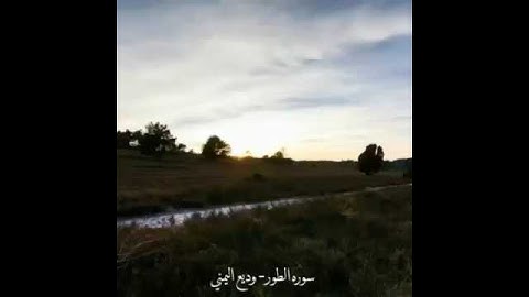 سورة الطور وديع اليمني #المصحف