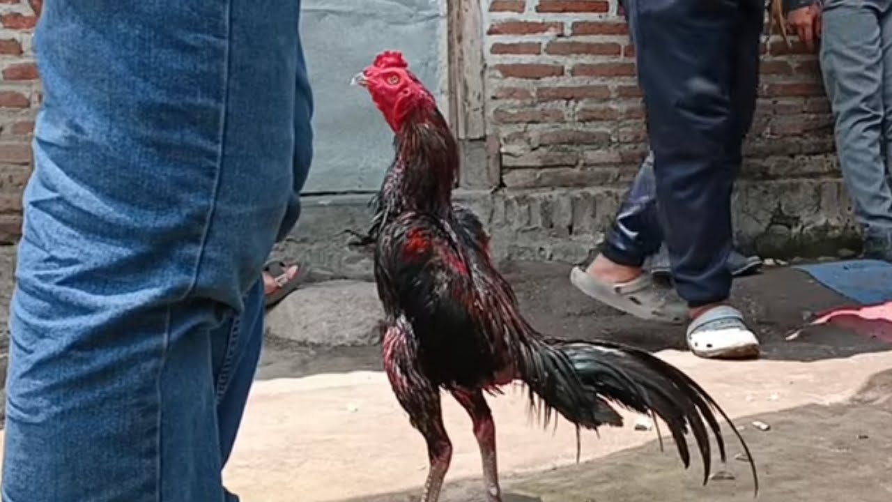 PASAR INI PALING RAMAI BIASANYA HARI MINGGU SENIN DAN JUMAT