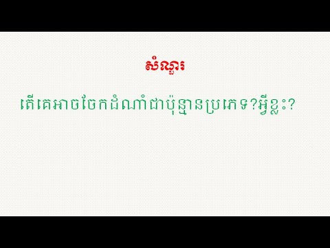 តើគេអាចចែកដំណាំជាប៉ុន្មានប្រភេទ?អ្វីខ្លះ? Q & A #8