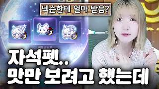 자석펫은 직접 뽑는 거라고 배웠습니다? [메이플스토리]