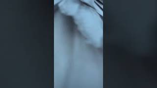 Tune Jo Na Kahan Gravero Revibee