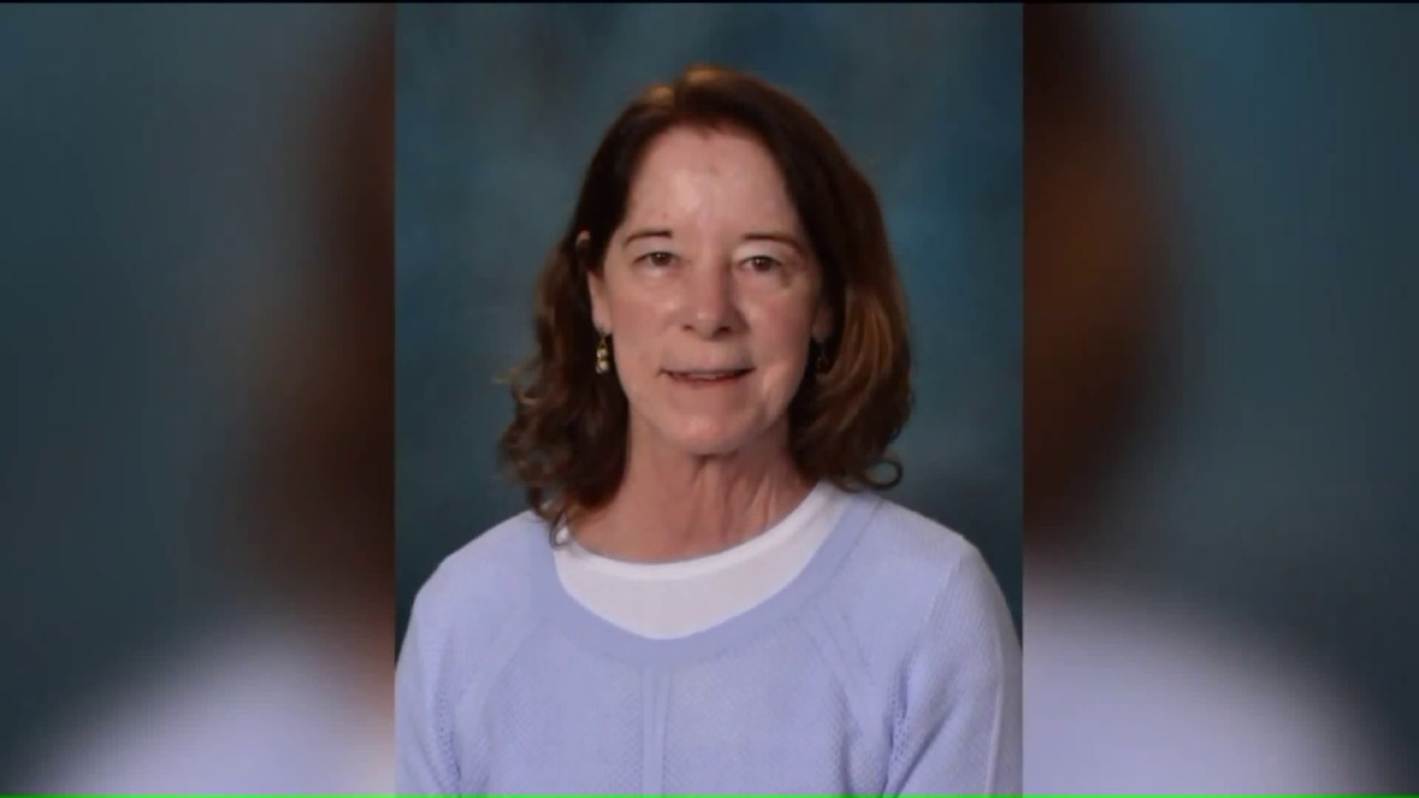 Visitation held for Orland Park teacher killed in hitandrun YouTube