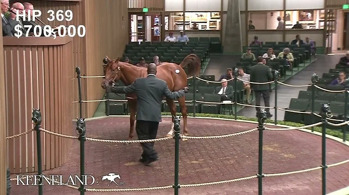 Hip 369, Curlin - Orbolution sells for $1.1 millio...