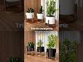 TRIO PARA VASO CACHEPORTE PARA CACTUS! #vasopressin #plantas#cachepô
