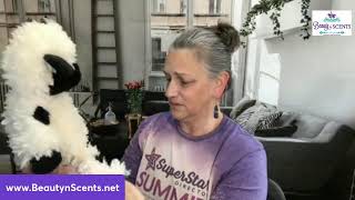 Scentsy Buddy Unboxing LIVE - Valais Sheep