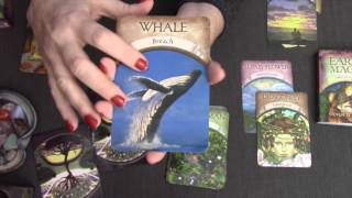 Deck Review Earth Magic