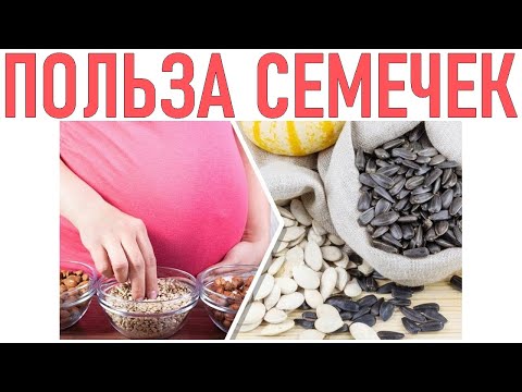 СЕМЕЧКИ ВО ВРЕМЯ БЕРЕМЕННОСТИ | Можно ли беременным семечки